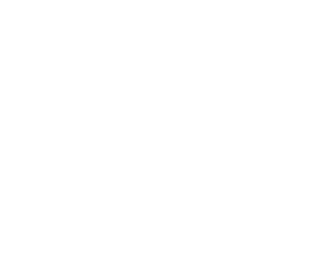 Confluxus Holding