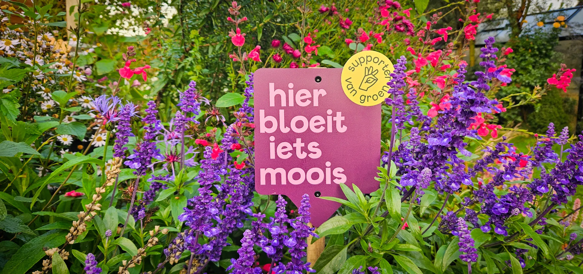 Tuinbordje 'hier bloeit iets moois' van Supporter van Groen in een bloeiende tuin
